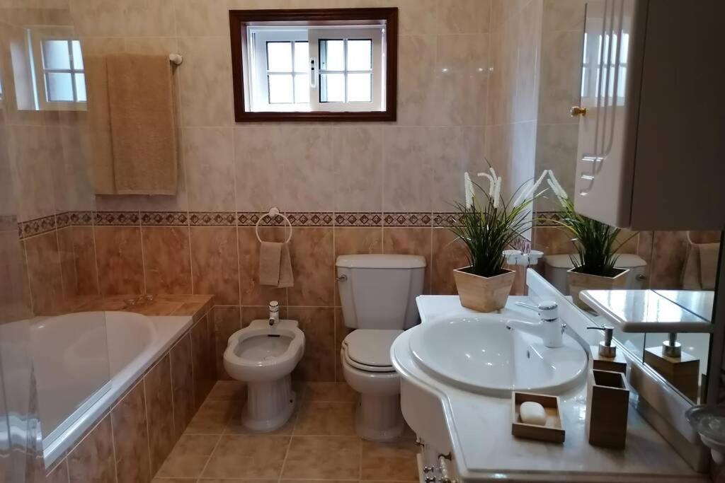 セロリコ・デ・バスト Refugio Do Seixosoヴィラ エクステリア 写真
